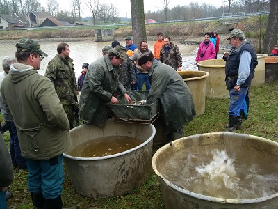 Výlov rybníka 2014